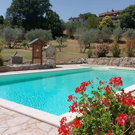 Agriturismo Camera Rosa 托迪 外观 照片