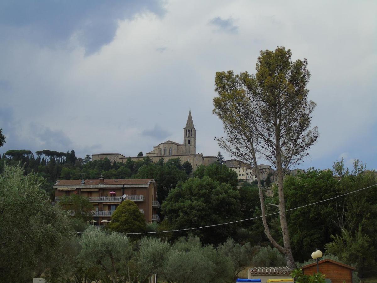 Agriturismo Camera Rosa 托迪 外观 照片