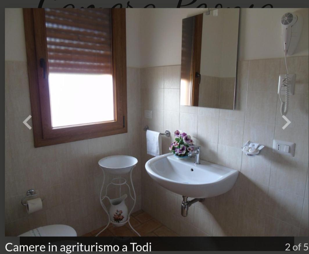 Agriturismo Camera Rosa 托迪 外观 照片